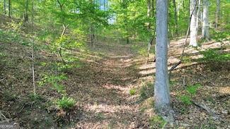 0 Flanagan Mill Rd Unit 10507942, Auburn, GA 30011
