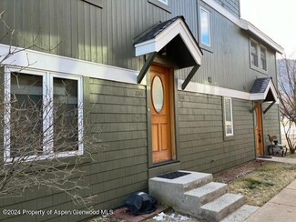336 Alexander Ln Unit 23, Basalt, CO 81621