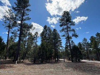 2480 Narrow Leaf Ln Unit Lot 20, Show Low, AZ 85901