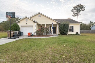 120 Boysenberry Fields Rd, Maple Hill, NC 28454