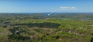 tbd Old State Rd Unit Parcel A, Boyne City, MI 49712