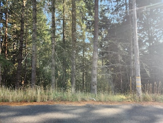 768 Redwood Rd, Whitethorn, CA 95589