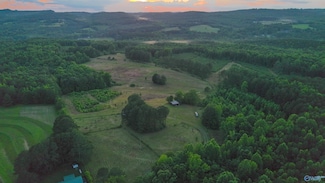 417 County Road 582, Collinsville, AL 35961