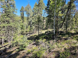 52 Warrior Cir, Florissant, CO 80816