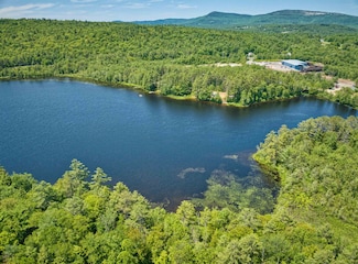 236-43 Stocker Pond Rd, Grantham, NH 03753