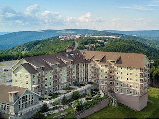 216 Soaring Eagle Lodge, Snowshoe, WV 26209