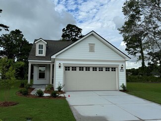 1549 Littleleaf Loop Unit lot 308, Atlantic Beach, SC 29582
