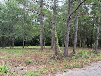 13 Pocahontas Ln, Carriere, MS 39426