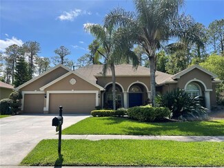 27700 Pine Point Dr, Wesley Chapel, FL 33544