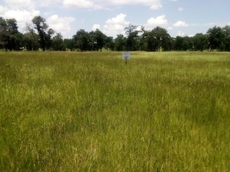 TR 7 Tbd Pr 1311, Centerville, TX 75833