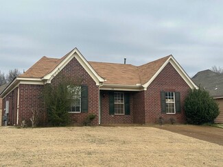 84 Autumn Branch Ln, Memphis, TN 38109
