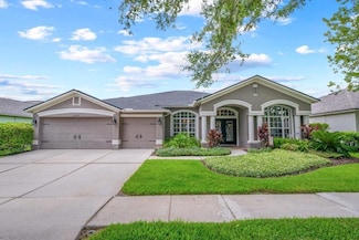 16224 Bridgepark Dr, Lithia, FL 33547