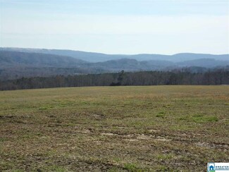 0 Posey Rd Unit Tract 3 874335, Blountsville, AL 35031