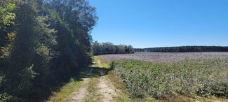 1133 Columbus Hwy, Hawkinsville, GA 31036
