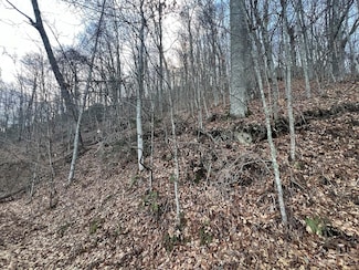 Lot 9 Buck Mountain Rd Unit 9, Maggie Valley, NC 28751