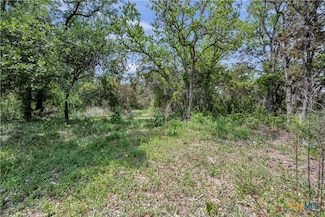 TBD Lot 14 E Farm To Market Road 243, Bertram, TX 78605