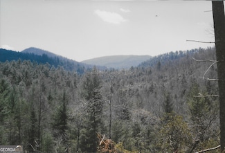 LOT 67 High River Country Unit 67, Hiawassee, GA 30546