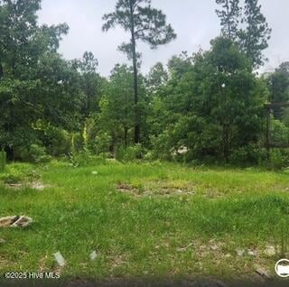 342 Ponderosa Dr, Hamlet, NC 28345