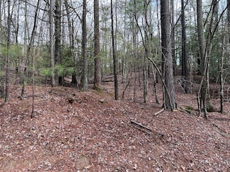 LT2788 Medina Ct, Ellijay, GA 30540