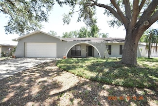4008 Briarlake Dr, Valrico, FL 33596