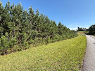 Lot 228 the Cove @ 1300, Blairsville, GA 30512