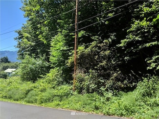 0 XX S Dillard Ave, Concrete, WA 98237