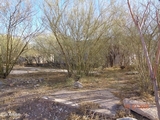 626 E 7th St Unit 9, Douglas, AZ 85607