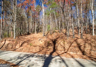 LOT 124 Mountain View Rd, Dawsonville, GA 30534