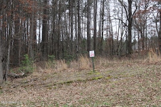 0 Ella Ln Unit 4105804, Byhalia, MS 38611