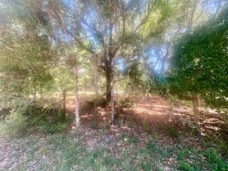 13385 NE 228 Lane Rd, Ft. McCoy, FL 32134