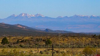 6998 E Cr U 29, Redvale, CO 81431