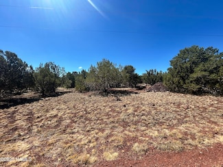 1610 W Wolf Ln, Williams, AZ 86046