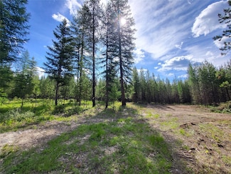 34388 Shay Lake Rd, Bigfork, MT 59911