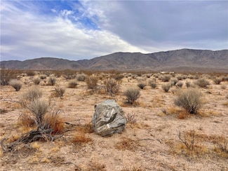 0 Ocotillo Rd Unit JT25014135, Johnson Valley, CA 92285
