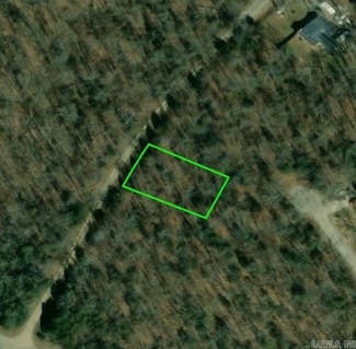 1303 Redbird Ln, Horseshoe Bend, AR 72512