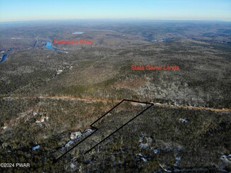 0 Neil Thompson Rd, Lackawaxen, PA 18435