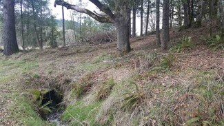 0 McKillop (West Of) (Lot #800) Rd Unit 723636, Scotts Mills, OR 97375