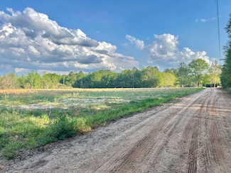 0 Robin Ln, Rochelle, GA 31079