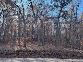 LOT 46 Dogwood Rd, Pawhuska Township, MO 65049