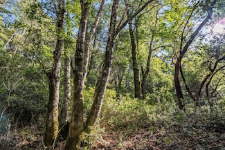 Lot 1 Desear Way, Lompico, CA 95018