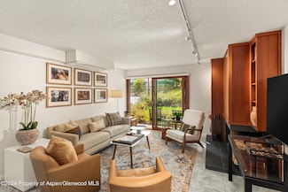 205 E Durant Ave Unit 1C, Aspen, CO 81611