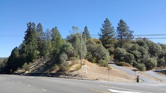 0 Trillium Ln Unit 225146807, Greenwood, CA 95635