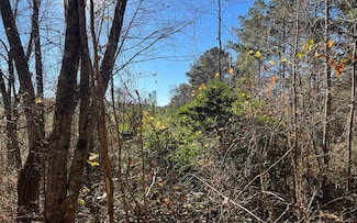 8.29 acs C Camp Rd, Copperhill, TN 37317