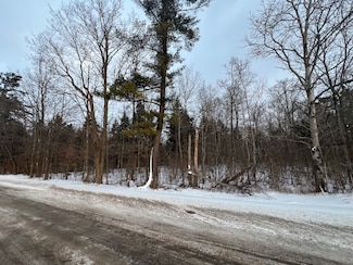 0 Oswegatchie Rd Unit 11431176, Palatine Bridge, NY 13428