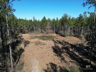 0 Ronald Sanks Rd Unit 372618, Bay Minette, AL 36507