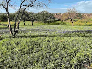 0 E Tarrant St Unit HLM175591, Llano, TX 78643