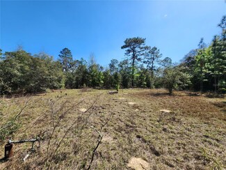2571 SW 167 Ave, Ocala, FL 34481