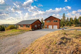 42829 Mount Moriah Way, Loon Lake, WA 99148