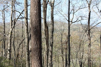 TBD Oak Ridge Rd Unit 17, Rosman, NC 28772