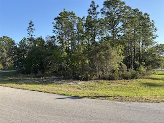 0 SW 49th Lane Rd, Ocala, FL 34474